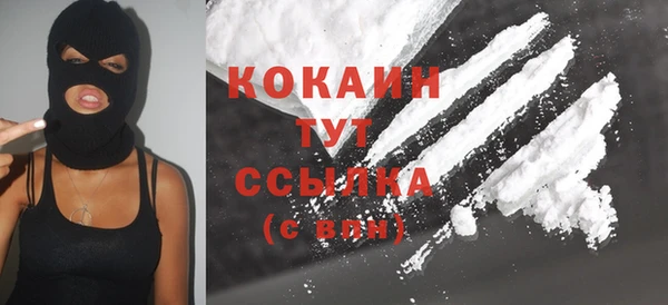 крисы Елабуга