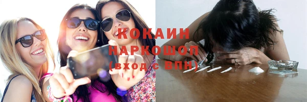 крисы Елабуга