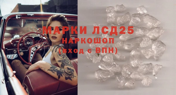 крисы Елабуга