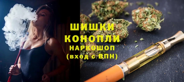 крисы Елабуга